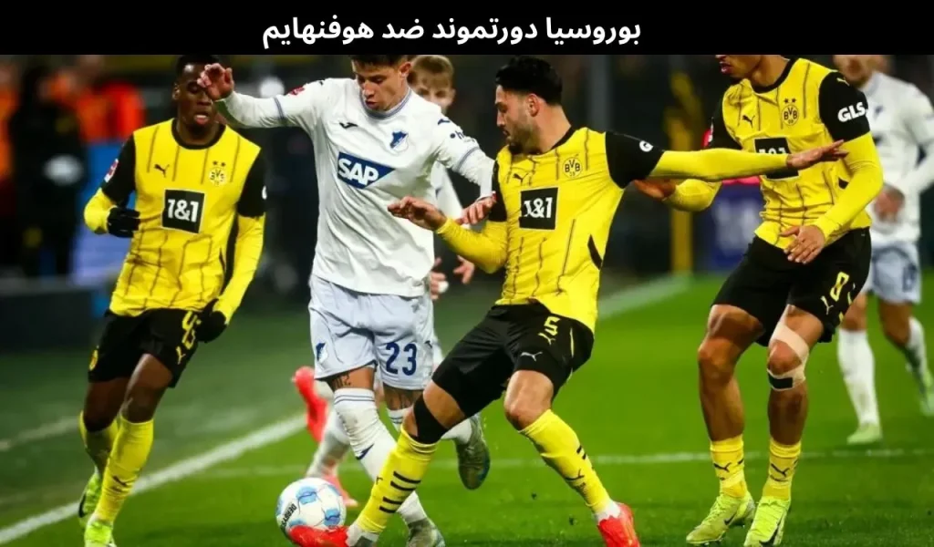 بوروسيا دورتموند ضد هوفنهايم