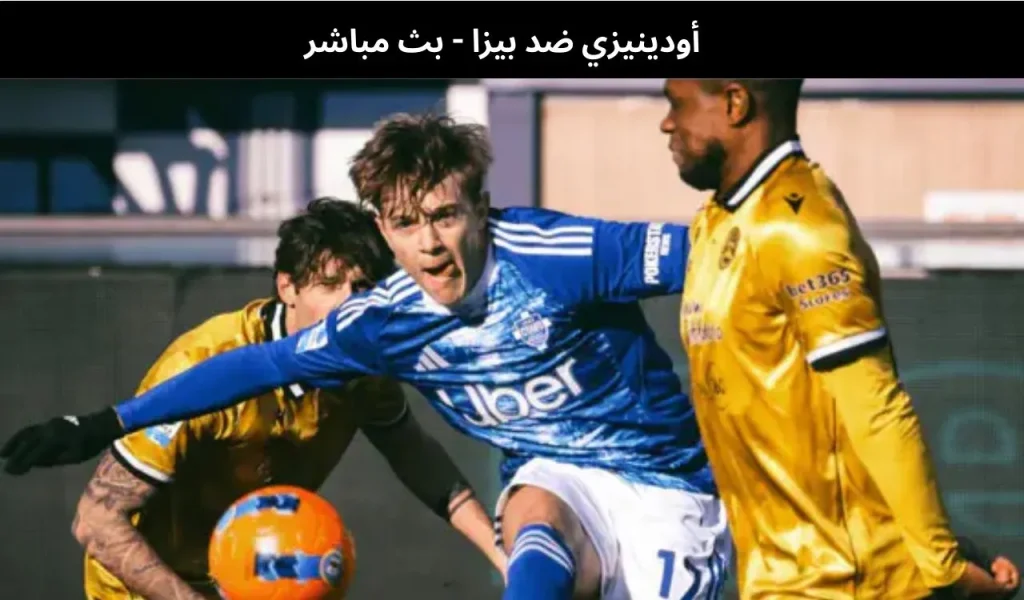 أودينيزي ضد بيزا