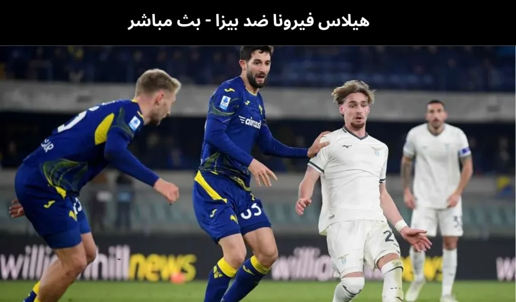 فيرونا ضد بيزا 