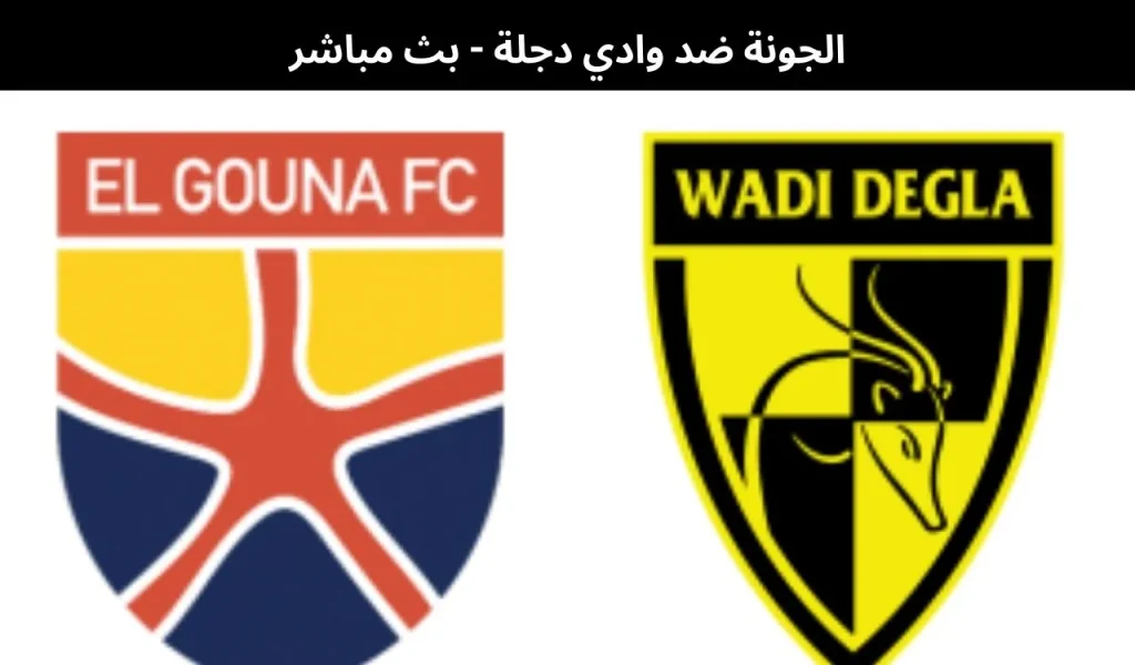 الجونة ضد وادي دجلة