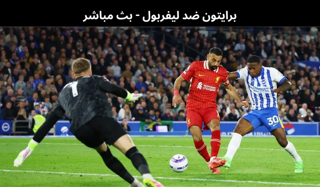 برايتون ضد ليفربول